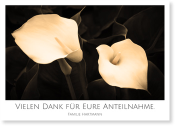 Danksagungskarten Trauer